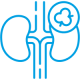 Nephrology